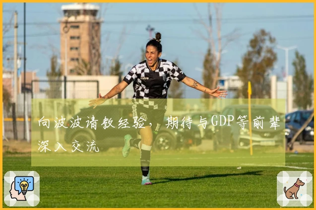 向波波请教经验，期待与GDP等前辈深入交流