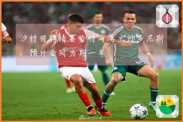 沙特将聘请赛哈特海湾主帅多尼斯，预计合同为期一年