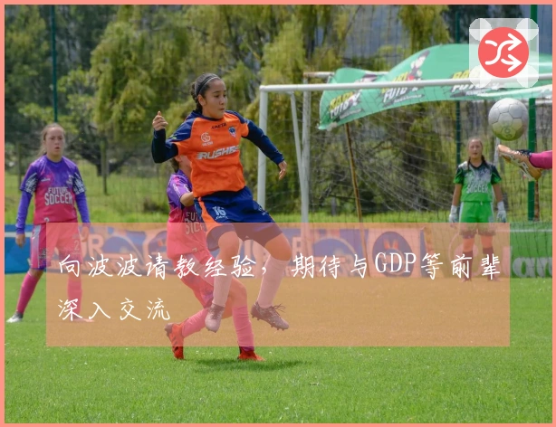 向波波请教经验，期待与GDP等前辈深入交流